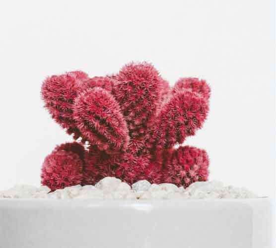 轰炸手机号信息软件免费版